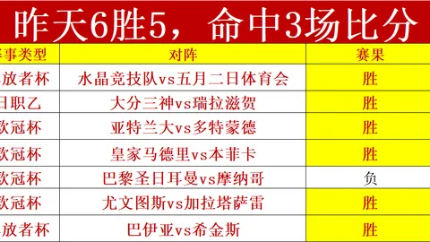 解放者杯前瞻：专家质合分析，期号胜率对比，谁将占据优势